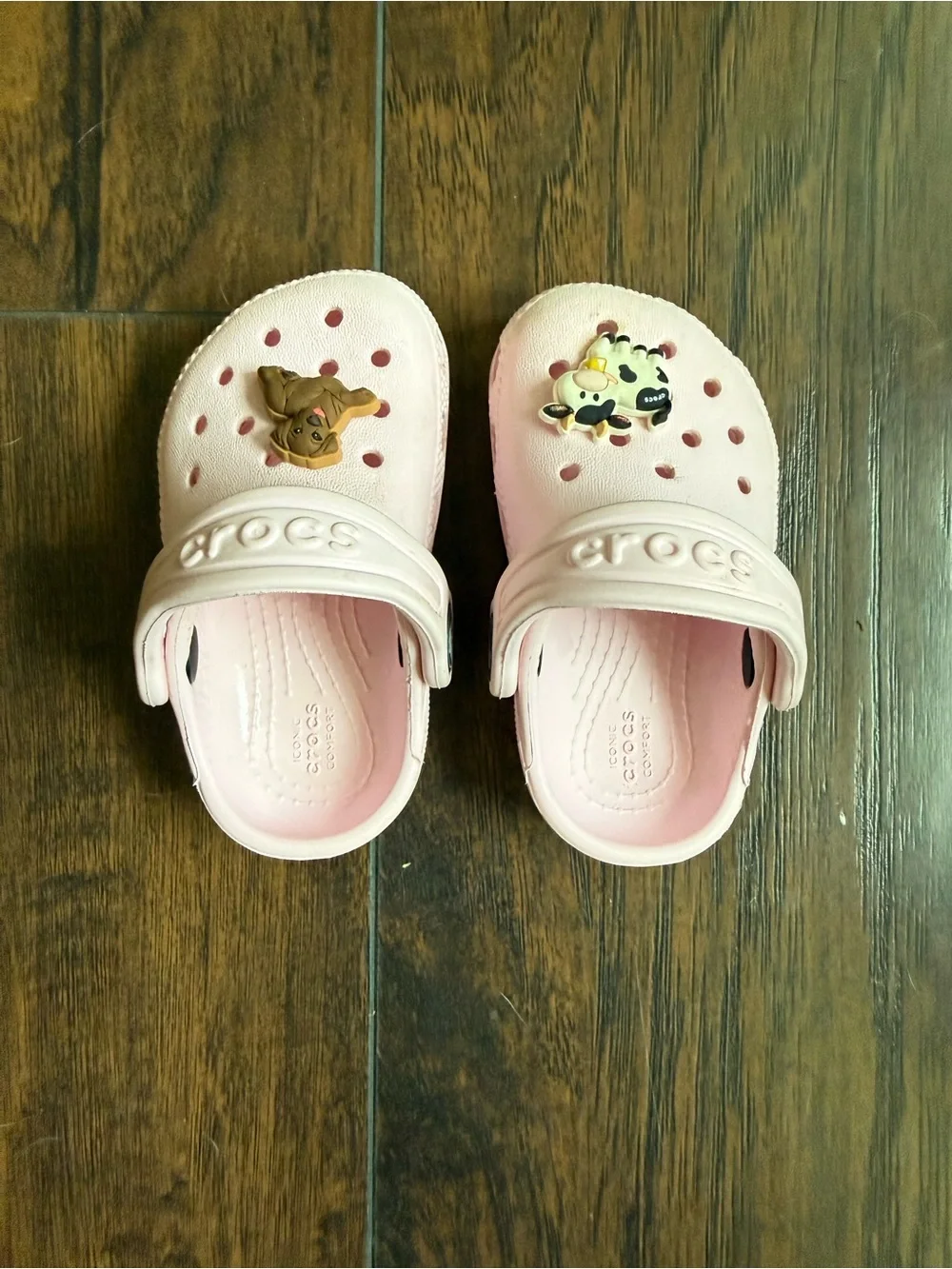 Baby Crocs